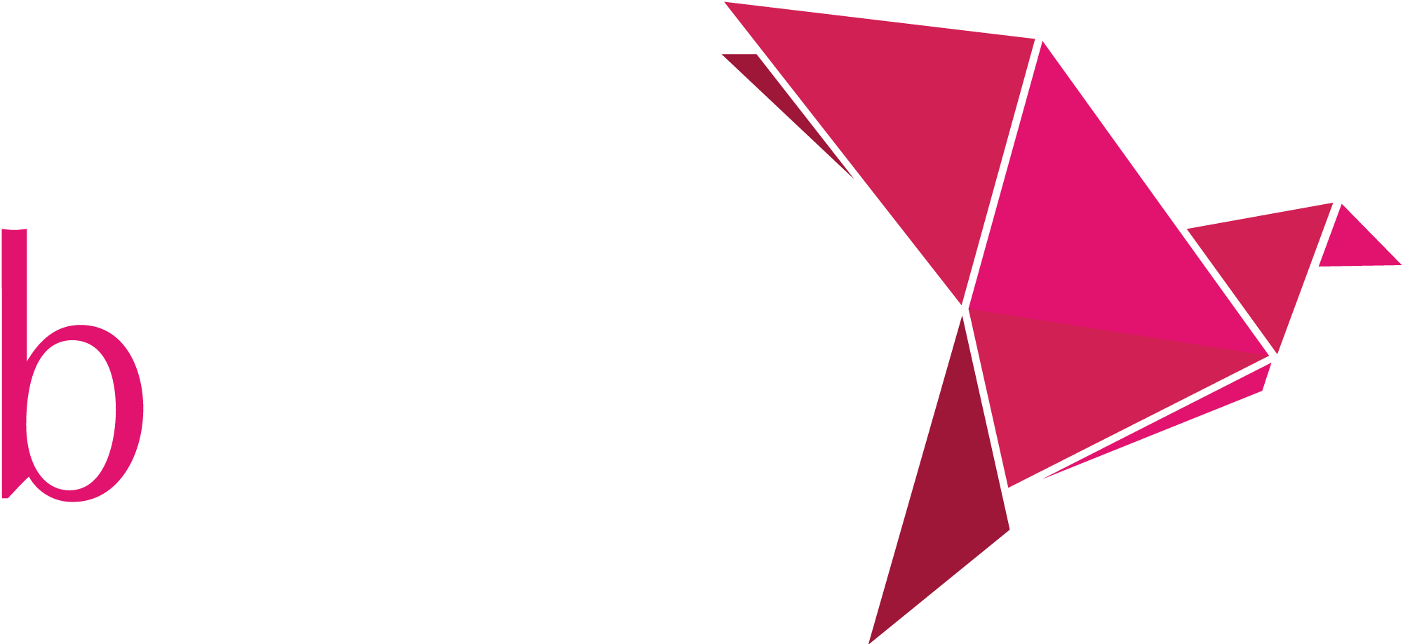 bKash logo